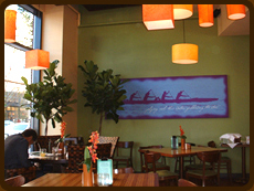 Plants in dining room